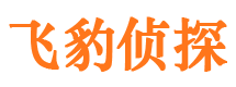 邱县市侦探调查公司